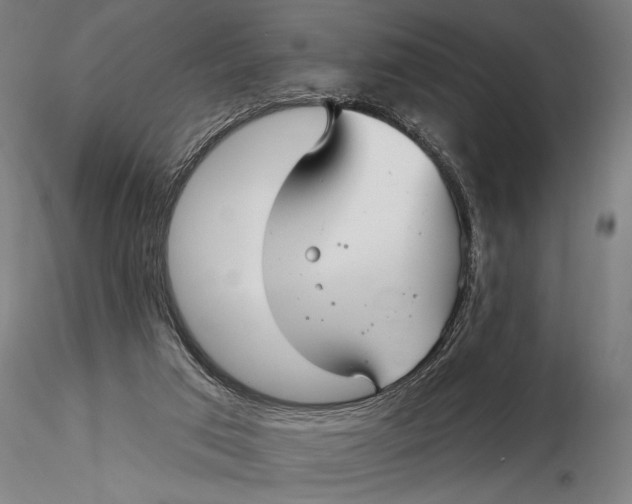 X0000116040017200912111451