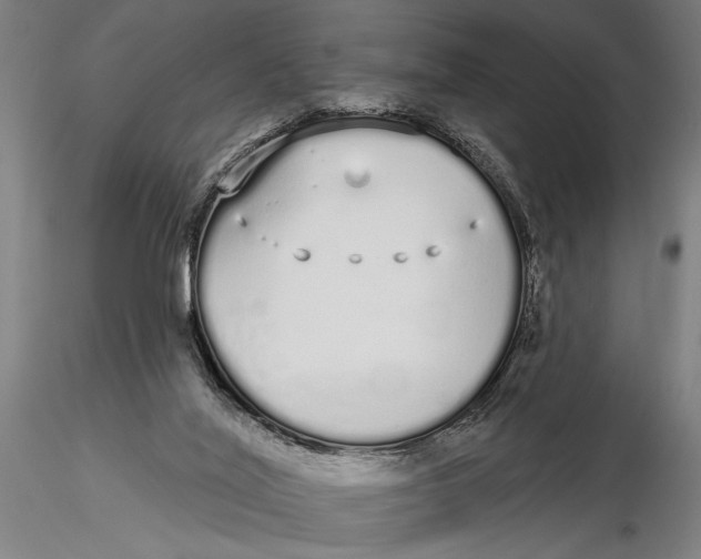 X0000116040020200912111451