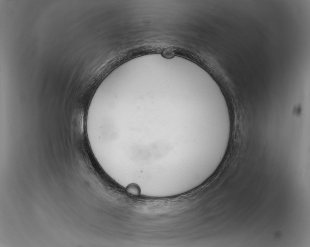 X0000116040021200912111451