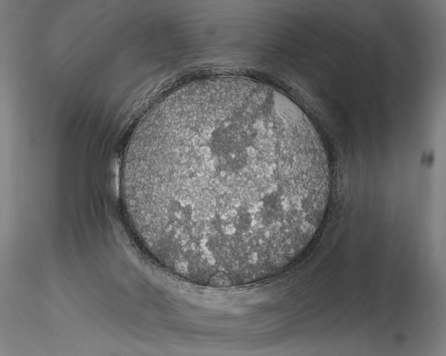 X0000116040022200912111451