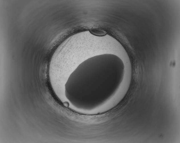 X0000116040023200912111451