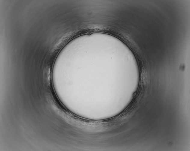 X0000116040024200912111451