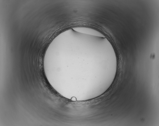 X0000116040025200912111451