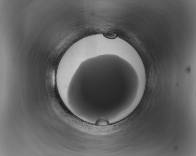X0000116040027200912111450
