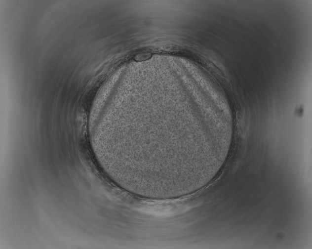 X0000116040029200912111450