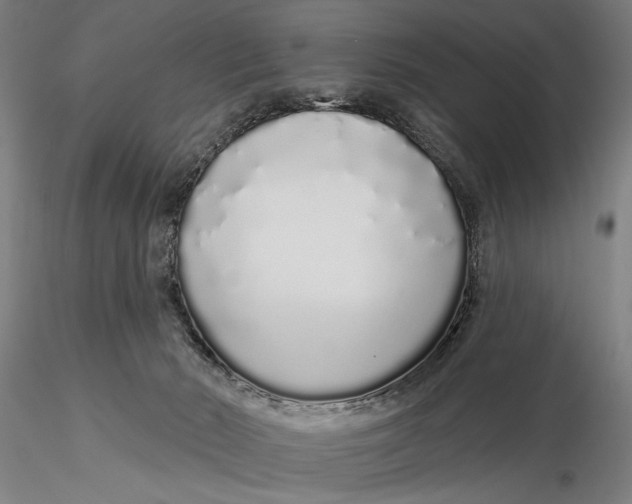 X0000116040030200912111450