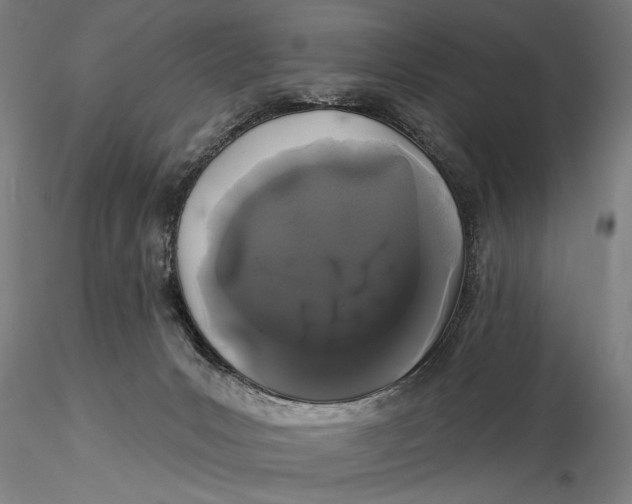 X0000116040031200912111450