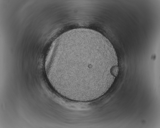 X0000116040032200912111450