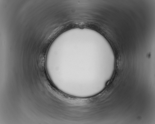 X0000116040036200912111450