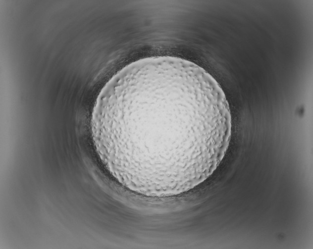 X0000116040038200912111450