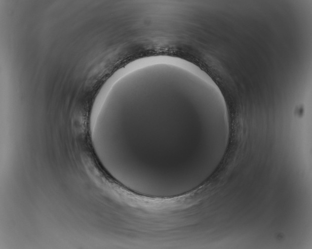X0000116040039200912111450