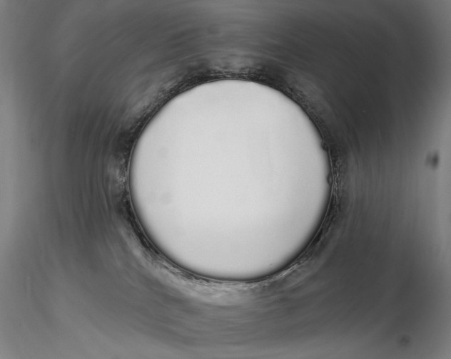 X0000116040040200912111450