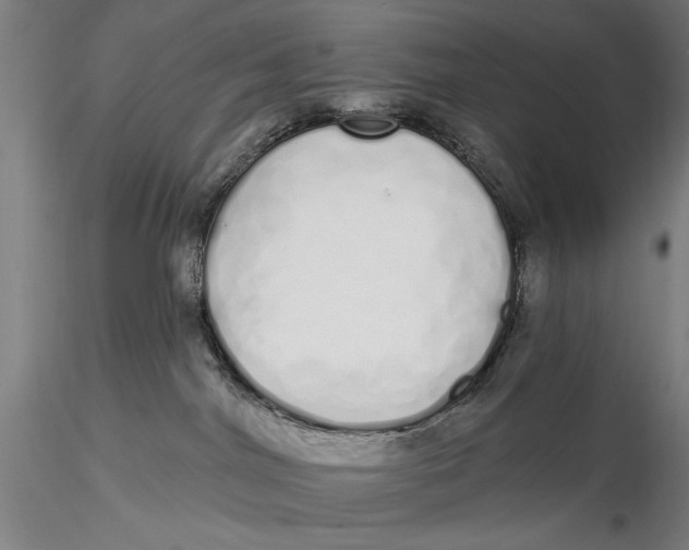 X0000116040044200912111450