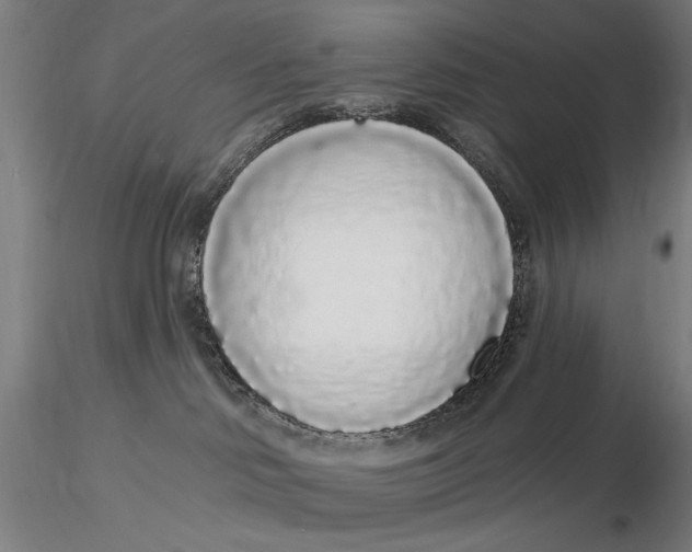 X0000116040046200912111450