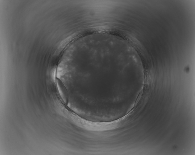 X0000116040047200912111450