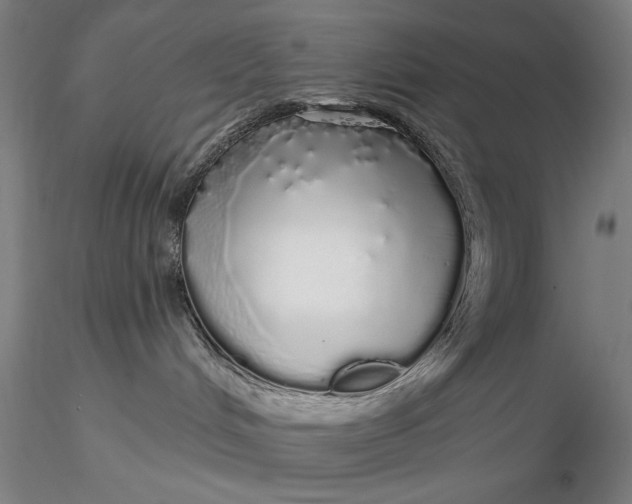 X0000116040048200912111450