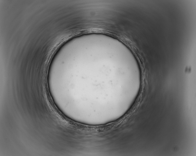 X0000116040049200912111449