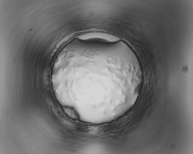 X0000116040050200912111449