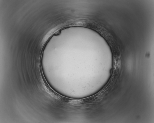 X0000116040051200912111449