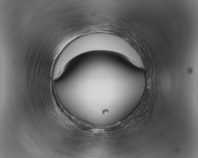 X0000116040052200912111449