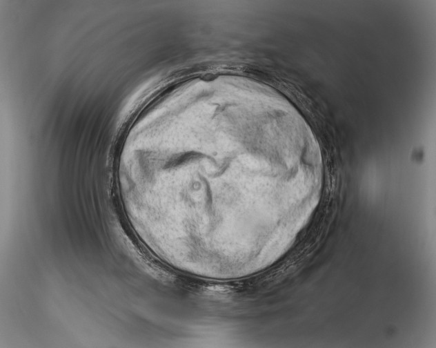 X0000116040053200912111449