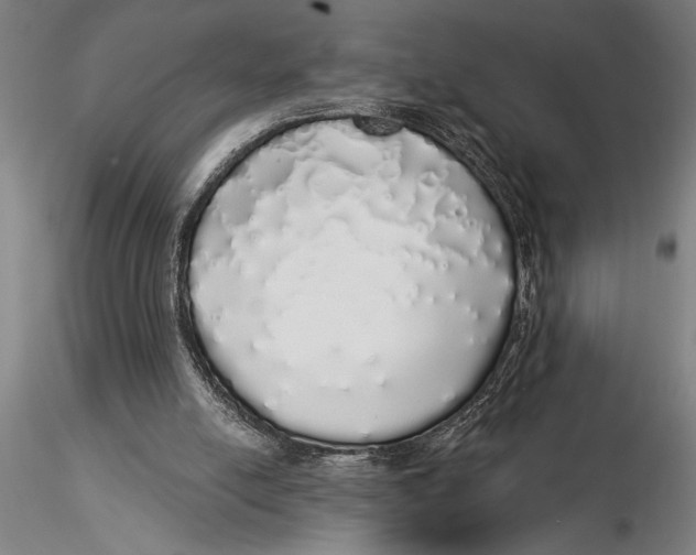 X0000116040054200912111449