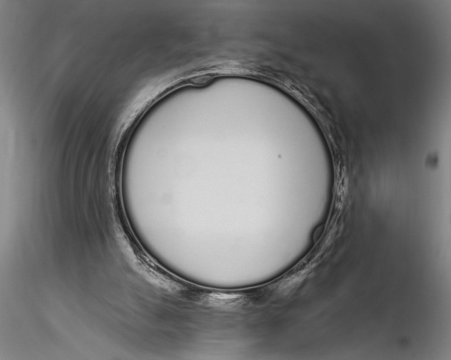 X0000116040055200912111449