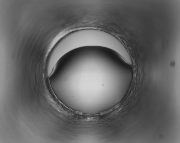 X0000116040056200912111449