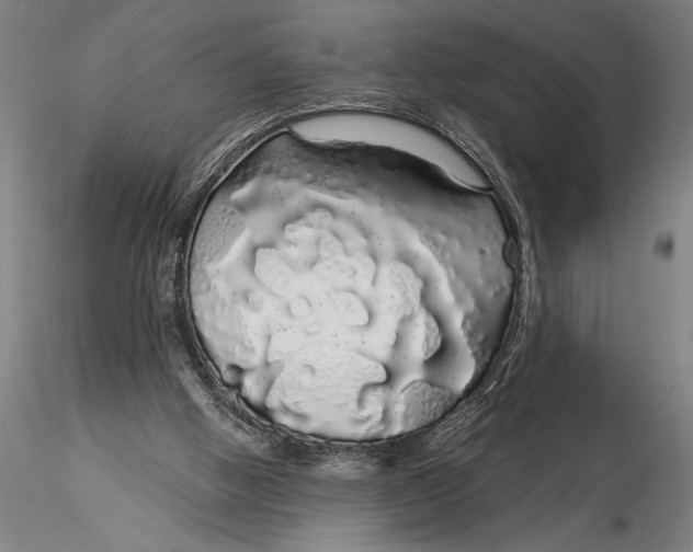 X0000116040058200912111449