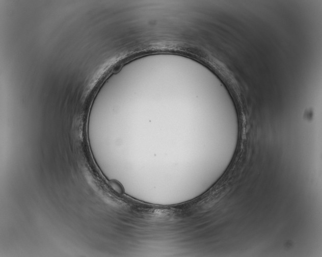 X0000116040060200912111450