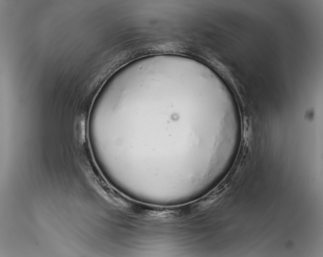 X0000116040061200912111450