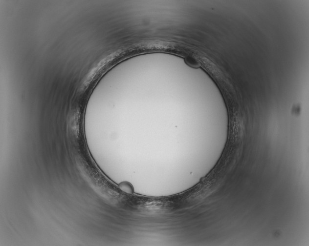 X0000116040064200912111450