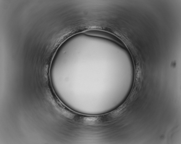 X0000116040066200912111450