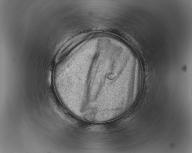 X0000116040067200912111450