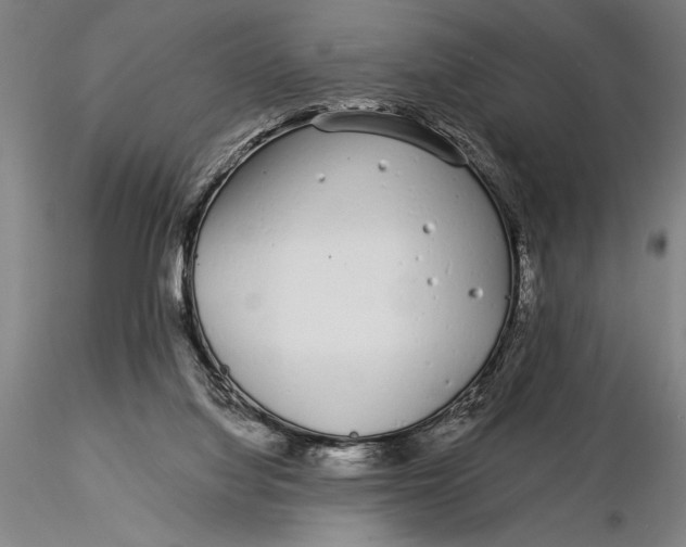 X0000116040068200912111450