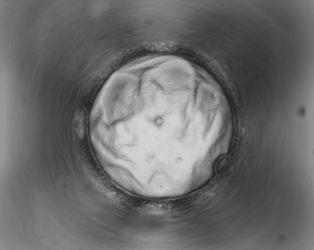 X0000116040069200912111450