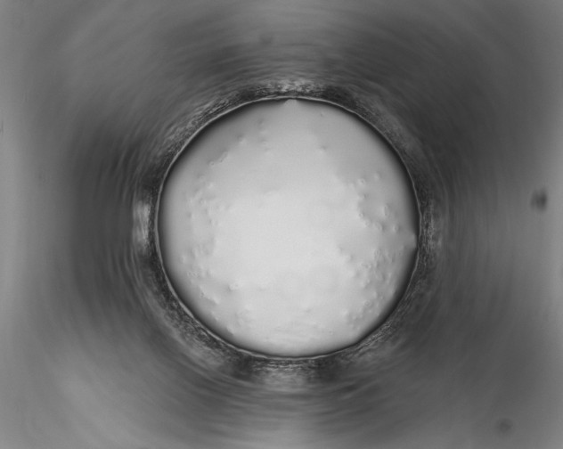 X0000116040070200912111450