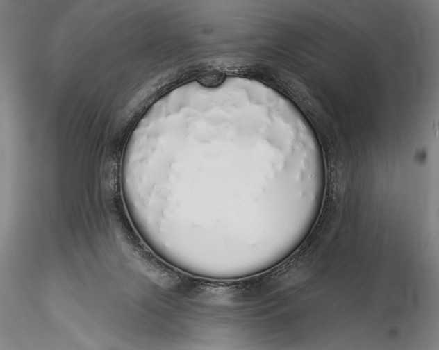X0000116040071200912111450