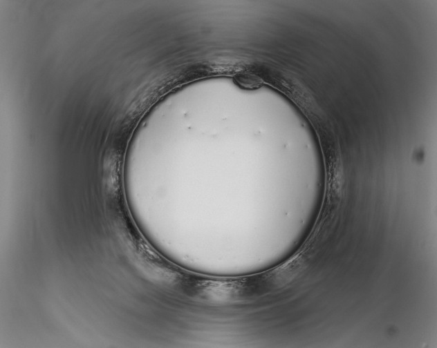 X0000116040074200912111450