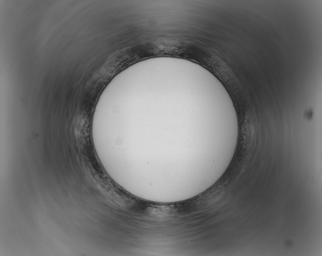 X0000116040079200912111450
