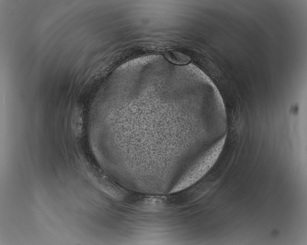 X0000116040080200912111450