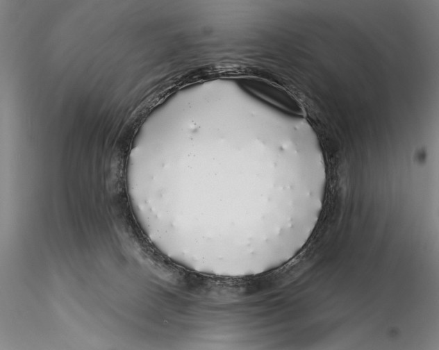 X0000116040082200912111450