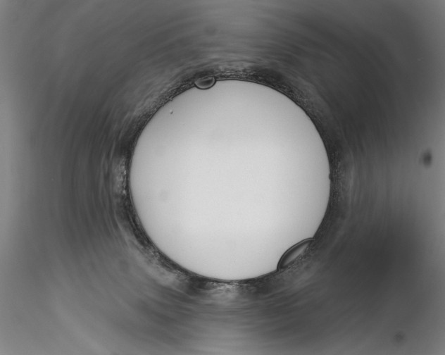 X0000116040083200912111450