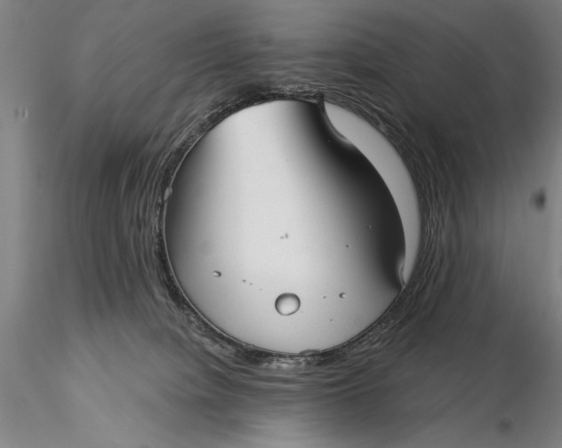 X0000116040084200912111450