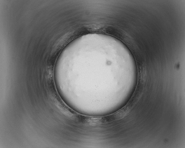 X0000116040085200912111450