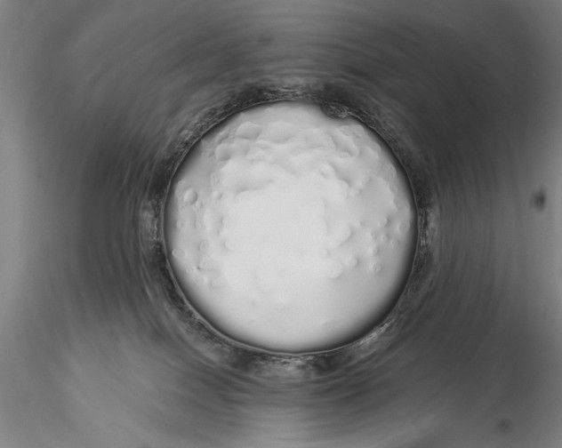 X0000116040086200912111450