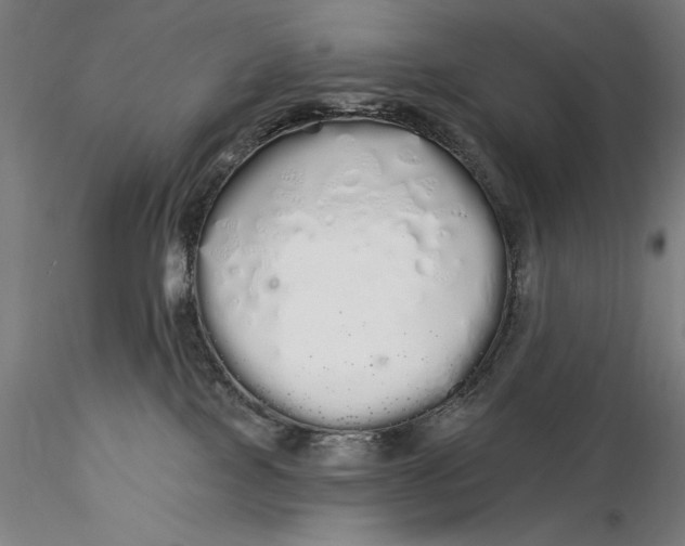 X0000116040089200912111450