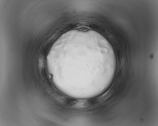 X0000116040090200912111450