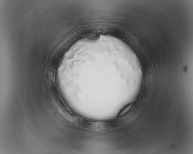 X0000116040091200912111450