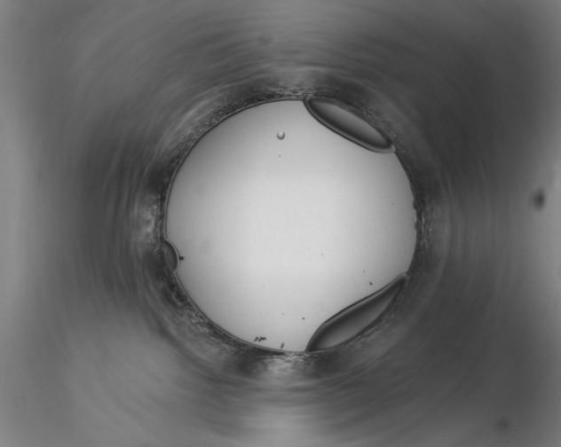 X0000116040092200912111450